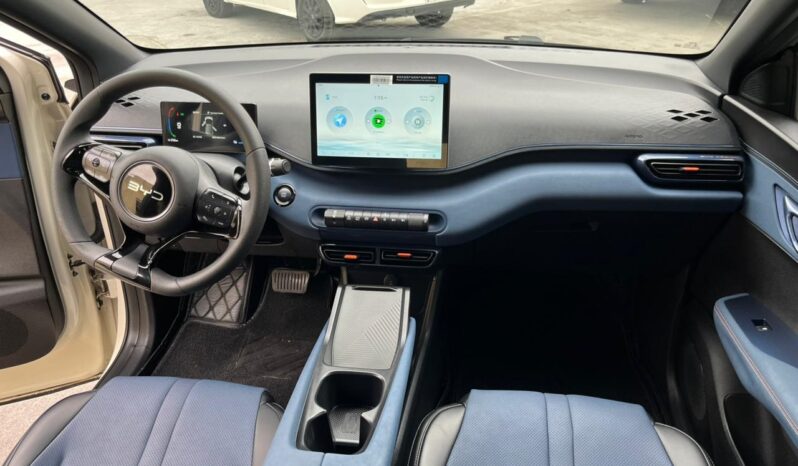 
BYD  MINI DOLPHY  2025 full									