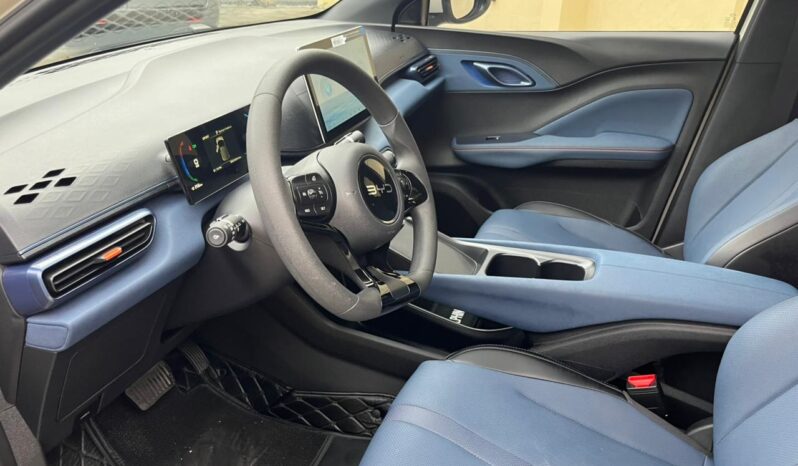 
BYD  MINI DOLPHY  2025 full									