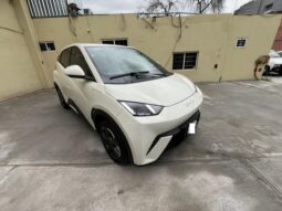 
BYD  MINI DOLPHY  2025 full									