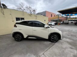 
BYD  MINI DOLPHY  2025 full									