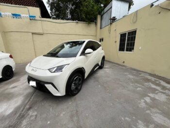 BYD  MINI DOLPHY  2025