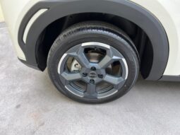 
BYD  MINI DOLPHY  2025 full									