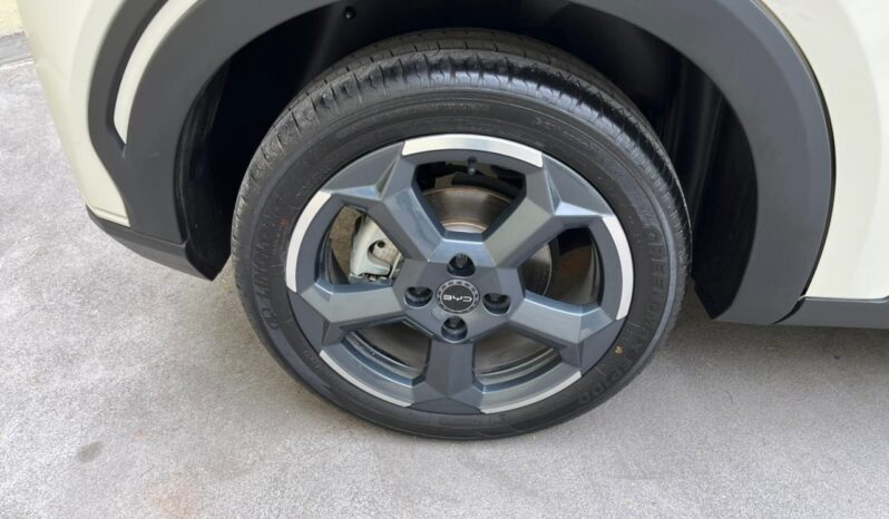 
BYD  MINI DOLPHY  2025 full									