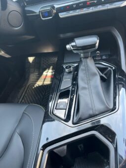 
TIGGO 2 PRO LUXURI 2024 AUT full									